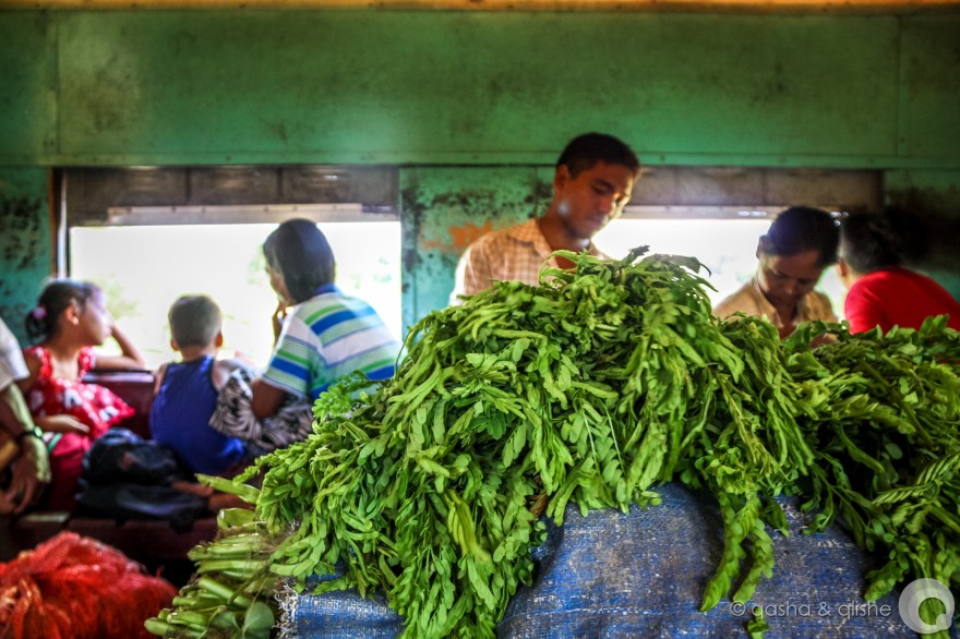 yangon circle line III