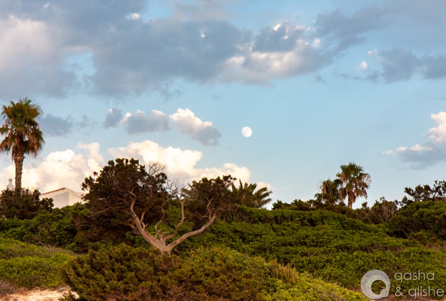 landscape with the moon